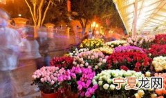 异地城市怎么订花 异地城市如何订花