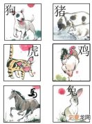 小霸王12生肖 小霸王4肖选一肖