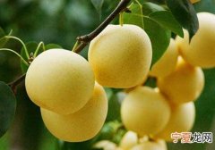 小寒吃什么传统食物