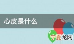 心皮是什么 关于心皮的介绍