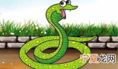 为什么不能在家里杀蛇 为什么不可以在家里杀蛇