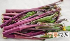 红菜苔怎么炒不变色 红菜苔怎样炒不变色