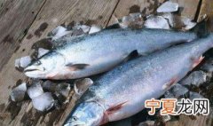 急冻海鱼方法 怎么急冻海鱼