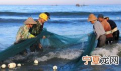 渔网是什么原理捕鱼 渔网捕鱼的原理是什么