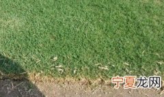 台湾草施肥方法 台湾草怎么施肥