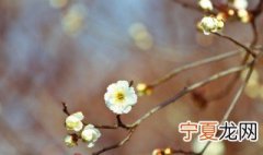 节气知识我知道什么什么昼夜平分 什么节气昼夜平分