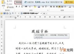 WPS字体能怎么安装