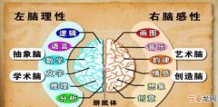 如何开发人的右脑，5个方法开发你的右脑快来看看