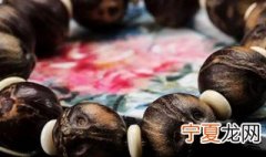 紫金鼠菩提如何挑选 紫金鼠菩提怎么挑选