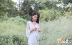 征服12生肖女神 十二生肖女神征服者01