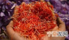 藏红花的保质期是多久呢 藏红花的保质期介绍