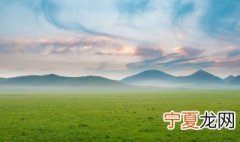 十级大风有多大 十级大风的介绍
