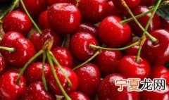 车厘子l和j哪个大 车厘子j和L的区别