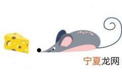 捕鼠的土方法 怎么捕鼠比较好