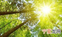 世界地球日是每年的哪一天 世界地球日是每年的4月22日