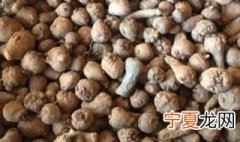 魔芋管理的方法 魔芋要如何管理
