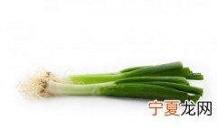 简单种葱的方法 怎么种葱