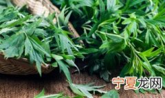 艾叶要晒干还是阴干 艾叶是阴干还是暴晒呀