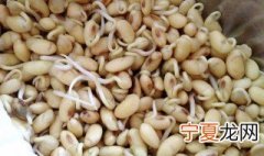 如何自家发黄豆芽 自家黄豆芽怎么发