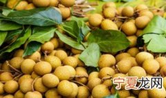 龙眼和桂圆有什么区别 桂圆龙眼的区别