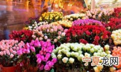 一句话形容看花的心情 表达一句话看花的心情
