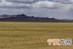笔芯什么意思 网络流行语笔芯什么意思