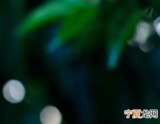 宸什么意思 宸什么意思在名字中