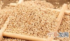 熟芝麻怎么保存不变潮 熟芝麻的保存方法