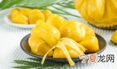 泰国菠萝蜜和海南菠萝蜜的区别在哪里 泰国菠萝蜜和海南菠萝蜜的区别