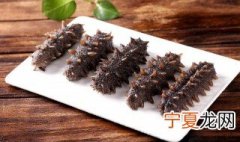 养海参最新方法 养海参最新方法介绍