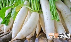 白萝卜怎么保鲜 白萝卜保鲜方法介绍