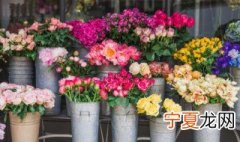 鲜花能放在太阳下晒吗 鲜花不能晒太阳吗