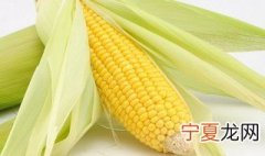 生玉米怎么保鲜 存放玉米的方法