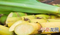 甘蔗怎么保鲜 保管甘蔗的方法