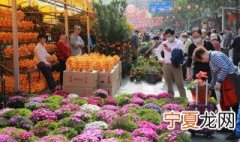 什么花的花语是真诚不变的爱 什么花的花语是真诚