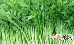 水芹的育苗方法 水芹该怎么育苗