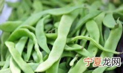 什么是芸豆 芸豆简介