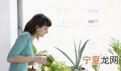 怎么判断盆栽杜鹃花是否需要浇水了 怎么判断盆栽杜鹃花是否需要浇水