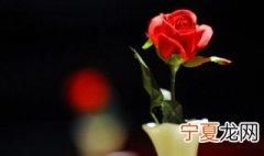 沙漠玫瑰用什么盆栽种 沙漠玫瑰用什么盆栽好