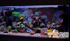 氧气泵放在鱼缸什么位置 氧气泵放在鱼缸什么位置合适