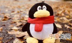 qq怎么关注公众号 qq关注公众号的方法