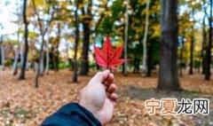 立秋以后我们需要注意的事项 盘点立秋后的注意事项