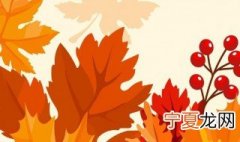 立秋应该吃什么 立秋应该吃什么比较好