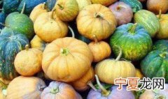 怎么挑南瓜 挑选南瓜的方法介绍