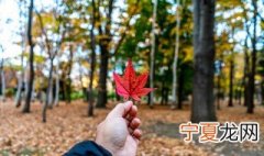 立秋饮食有讲究 立秋饮食有哪些讲究