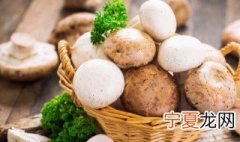 家里长蘑菇什么预兆 家里长蘑菇是吉是凶