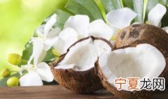 椰子什么时候成熟 椰子什么时候成熟上市