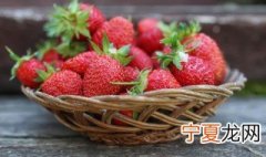 盆栽草莓怎么养 盆栽草莓怎么养活
