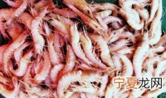 虾带到北方怎么保鲜 虾在运输过程中如何保鲜