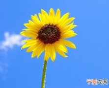 有助于延年益寿 做12个“1”延年益寿长命百岁